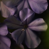 Nouvelle aventure photographique