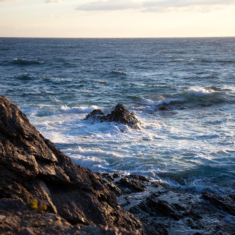 Presqu'Ile du Gaou –&nbsp;Var