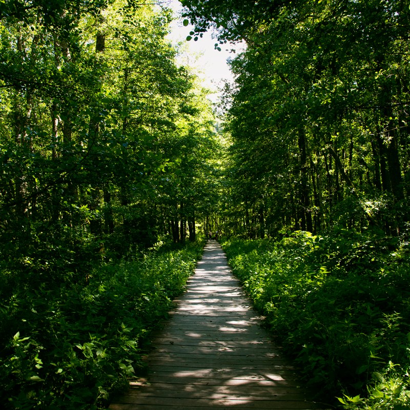 Découverte de l'Auvergne : Le Massif du&nbsp;Sancy