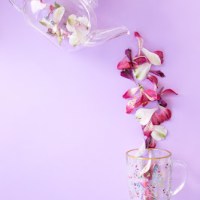 Studio créatif – Direction artistique – Photographie – Stop&nbsp;motion